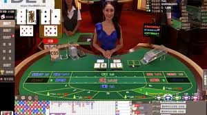 sbobet8